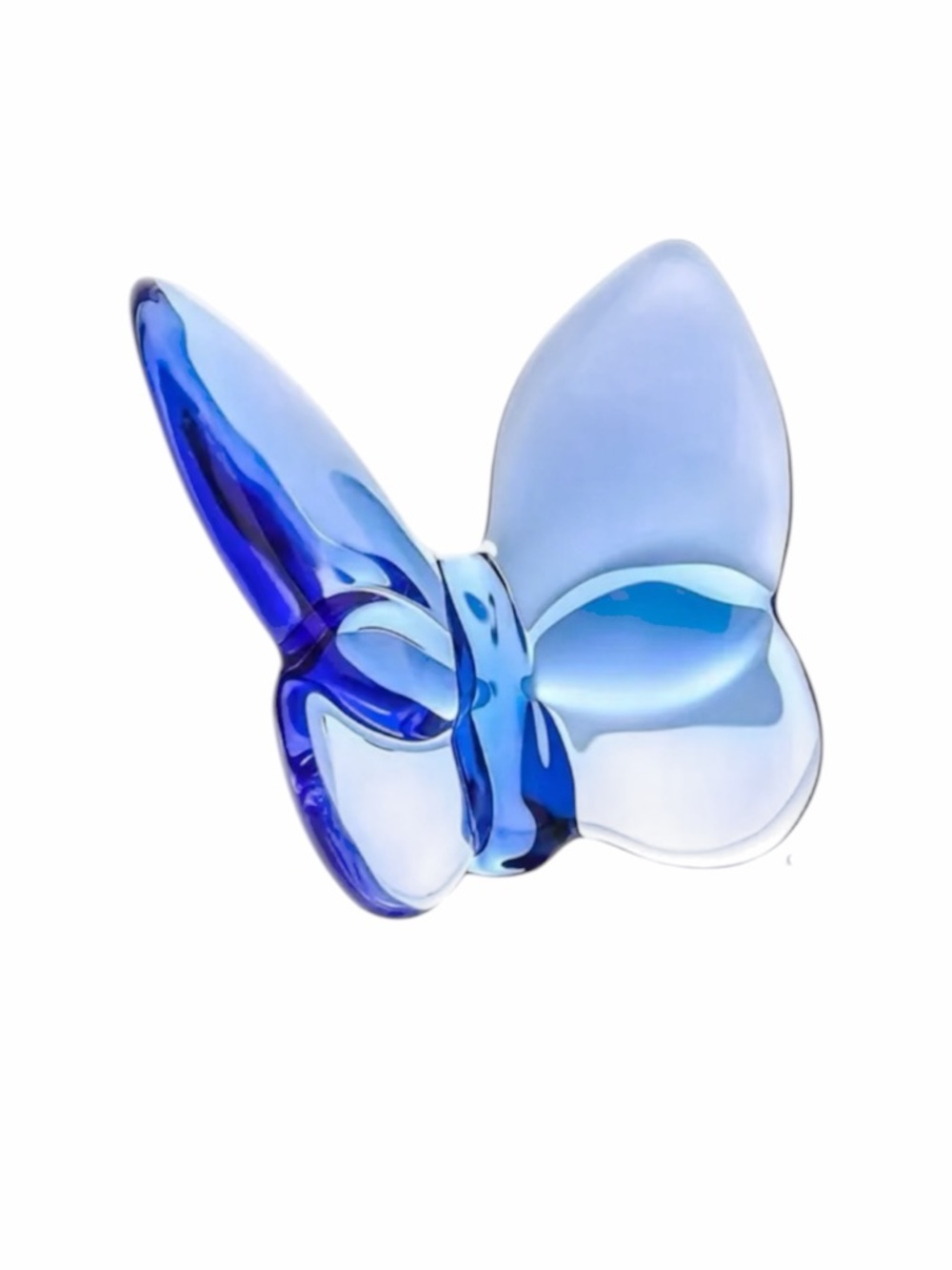 Elegant Blue Butterfly Decor New